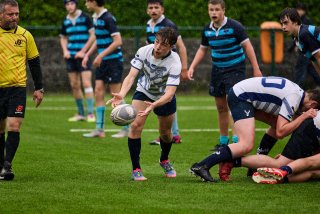 4505_jz1_8136.jpg - JPEG - 486.2 ko - 2000×1333 px