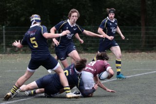 452a7633.jpg - JPEG - 382 ko - 2000×1333 px