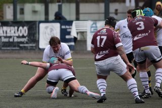 452a7987.jpg - JPEG - 370.7 ko - 2000×1333 px