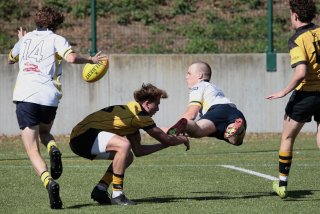 452a8500.jpg - JPEG - 444.3 ko - 2000×1333 px