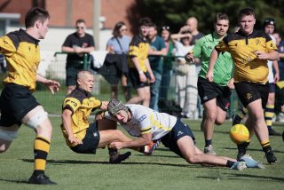 452a8657.jpg - JPEG - 407.2 ko - 2000×1333 px