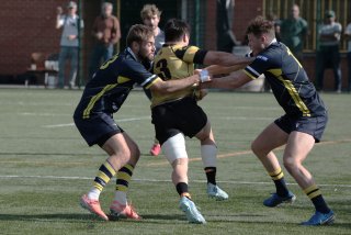 452a8859.jpg - JPEG - 376.9 ko - 2000×1333 px