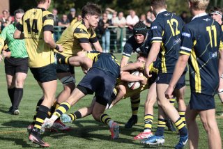 452a8905.jpg - JPEG - 521.7 ko - 2000×1333 px