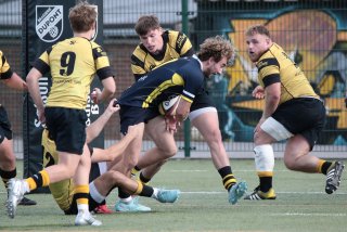 452a9060.jpg - JPEG - 418.9 ko - 2000×1333 px