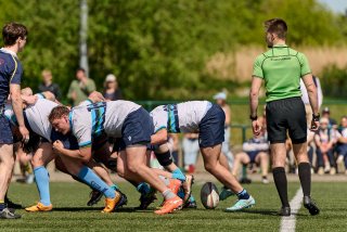 4631_jz1_3887.jpg - JPEG - 497.4 ko - 2000×1332 px