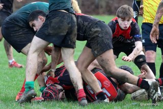 48-bj8a4705.jpg - JPEG - 284.6 ko - 1500×999 px