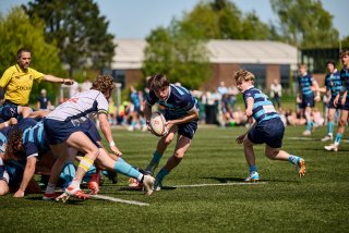 4919_jz1_3956.jpg - JPEG - 523 ko - 2000×1333 px