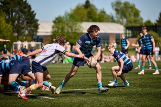 4920_jz1_3957.jpg - JPEG - 500 ko - 2000×1333 px