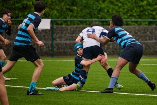 4936_jz1_8466.jpg - JPEG - 430.2 ko - 2000×1334 px