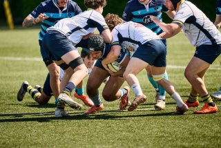 4939_jz2_2960.jpg - JPEG - 602.7 ko - 2000×1333 px