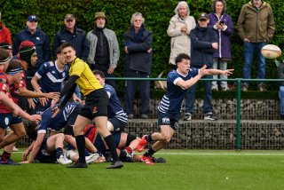 5091_jz1_8533.jpg - JPEG - 494.3 ko - 2000×1334 px