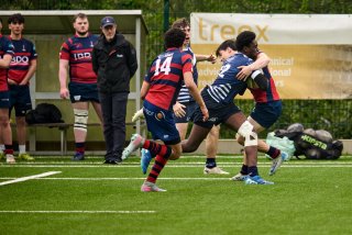 5202_jz1_8619.jpg - JPEG - 437.1 ko - 2000×1334 px