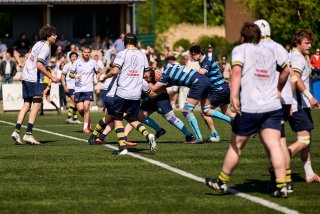 5214_jz1_4087.jpg - JPEG - 535.5 ko - 2000×1333 px