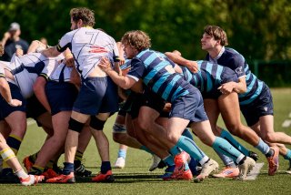 5221_jz2_3120.jpg - JPEG - 526.9 ko - 2000×1333 px