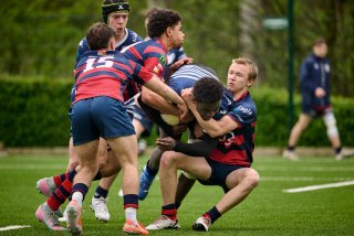 5360_jz1_8738.jpg - JPEG - 411.6 ko - 2000×1334 px