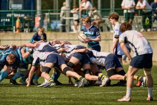 5384_jz2_3282.jpg - JPEG - 506.6 ko - 2000×1333 px