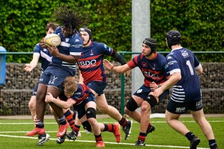 5458_jz1_8780.jpg - JPEG - 551.6 ko - 2000×1334 px