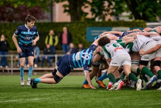 5465_jz1_9334.jpg - JPEG - 437.1 ko - 2000×1334 px