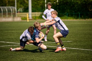 5481_jz1_4152.jpg - JPEG - 508.8 ko - 2000×1333 px