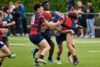 5494_jz1_8806.jpg - JPEG - 452.6 ko - 2000×1334 px