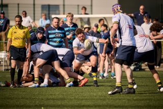 5554_jz2_3373.jpg - JPEG - 452.2 ko - 2000×1333 px