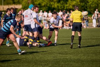 5576_jz1_4184.jpg - JPEG - 528.3 ko - 2000×1333 px