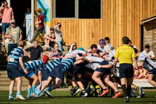 5584_jz2_3387.jpg - JPEG - 528.2 ko - 2000×1333 px