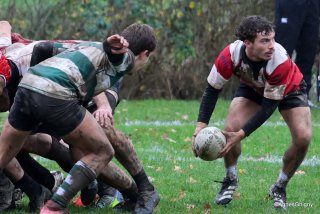 60-bj8a3930.jpg - JPEG - 269.4 ko - 1500×1002 px