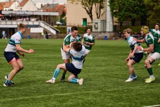 6302_jz2_8056.jpg - JPEG - 562.9 ko - 2000×1334 px