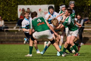 6465_jz1_9868.jpg - JPEG - 460.4 ko - 2000×1332 px