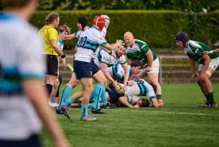 6685_jz1_0043.jpg - JPEG - 408.1 ko - 2000×1334 px