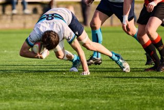 793_jz1_0532.jpg - JPEG - 447.9 ko - 2000×1332 px