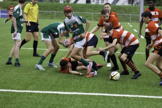 _46a2768.jpg - JPEG - 548.5 ko - 2000×1333 px