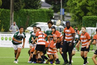 _46a2785.jpg - JPEG - 455.1 ko - 2000×1333 px