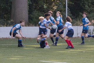 _i4a2325.jpg - JPEG - 297 ko - 1500×1000 px