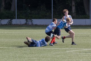 _i4a2642.jpg - JPEG - 342.8 ko - 1500×1000 px