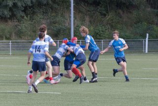 _i4a2875.jpg - JPEG - 304.1 ko - 1500×1000 px