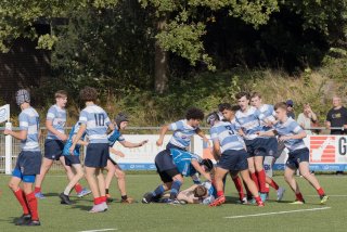 _i4a3024.jpg - JPEG - 395.9 ko - 1500×1000 px