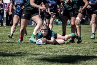 _i5a5286.jpg - JPEG - 553.1 ko - 2000×1333 px