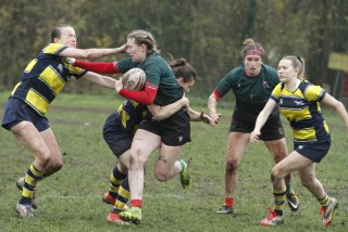 _mg_2188.jpg - JPEG - 375.5 ko - 2000×1333 px