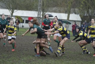 _mg_2196.jpg - JPEG - 387.5 ko - 2000×1333 px