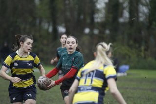 _mg_2198.jpg - JPEG - 265.9 ko - 2000×1333 px