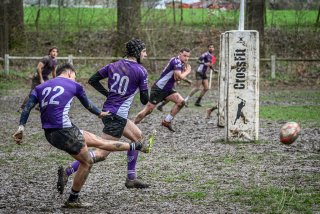 _nz82322-avec_accentuation-bruit.jpg - JPEG - 303.3 ko - 1024×682 px