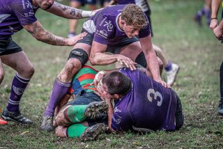 _nz85655.jpg - JPEG - 271.5 ko - 1024×683 px