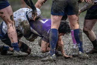 _nz87354-2.jpg - JPEG - 241.3 ko - 1024×682 px