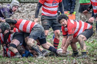 _nz87679.jpg - JPEG - 317.5 ko - 1024×682 px