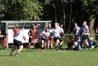 bs-senior-1-15-10-23_21.jpg - JPEG - 440.9 ko - 1500×1000 px