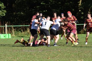 bs-senior-1-15-10-23_22.jpg - JPEG - 384.1 ko - 1500×1000 px