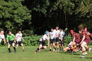 bs-senior-1-15-10-23_51.jpg - JPEG - 477.1 ko - 1500×1000 px