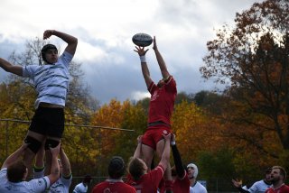 copie_de_dsc_1891.jpg - JPEG - 360.2 ko - 2000×1333 px